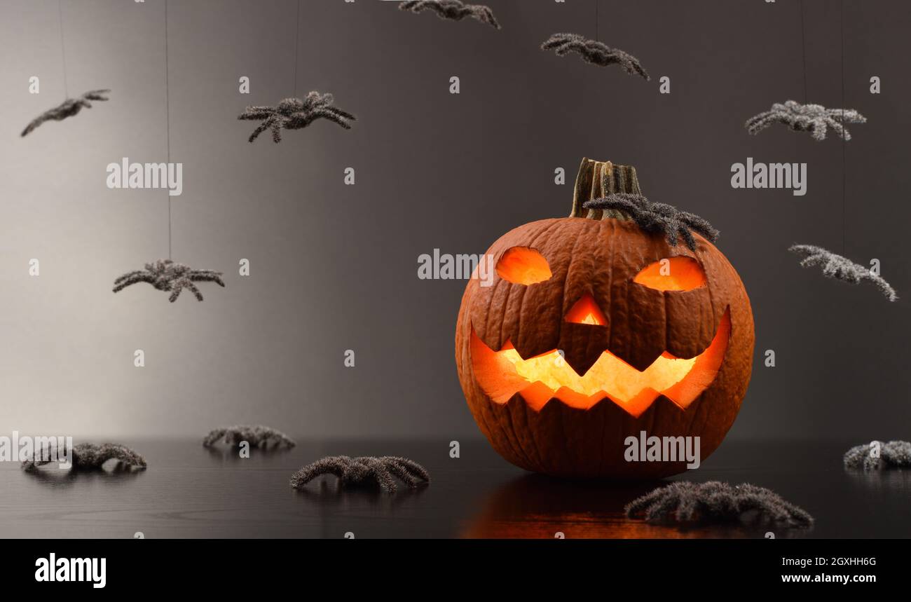 Greeting card for halloween with carved and illuminated pumpkin with spiders around and gray isolated background. Front view. Horizontal composition. Stock Photo