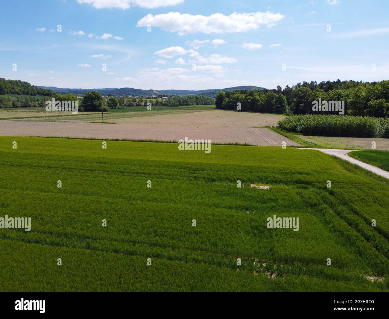 Aerial view of an agricultural field with grain planted in spring in ...