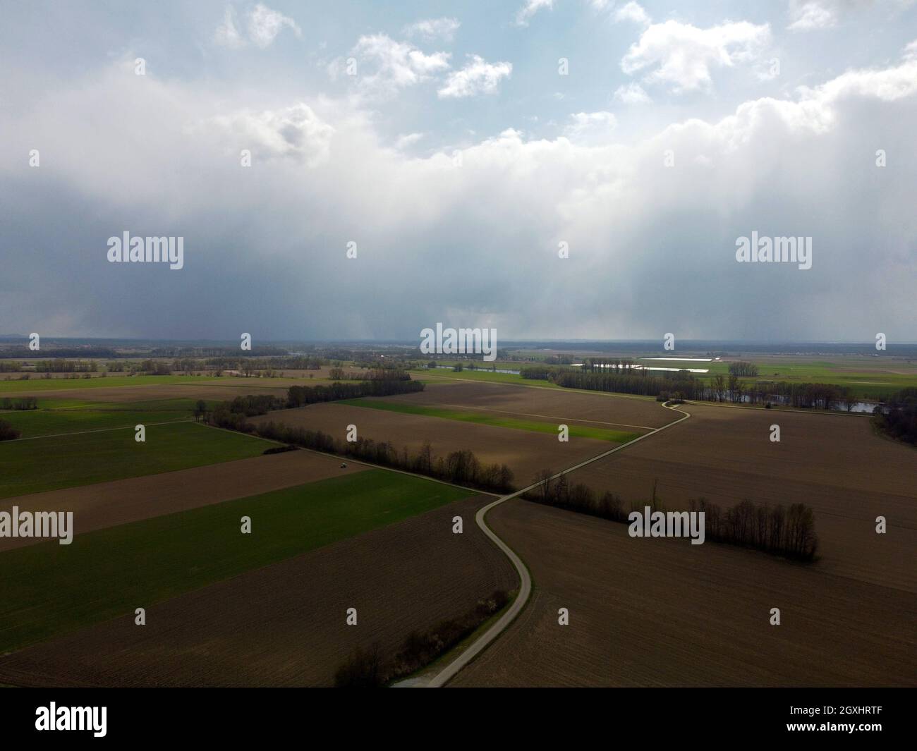 Aerial view of an agricultural field with grain planted in spring in ...