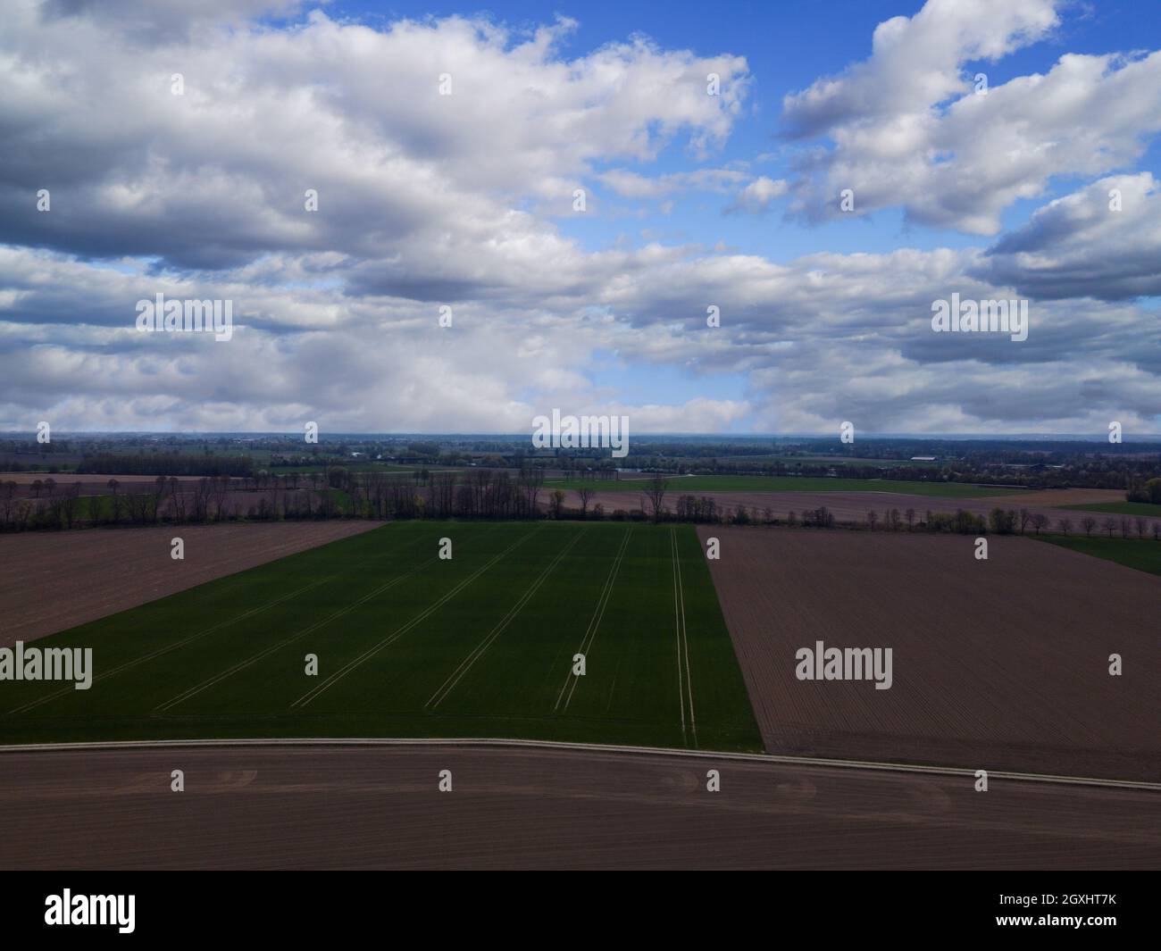 Aerial view of an agricultural field with grain planted in spring in ...