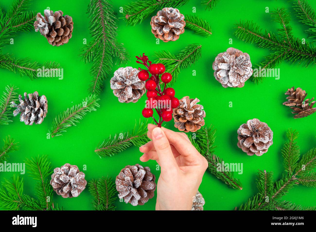Christmas background with cones and pine branches on green Stock Photo ...