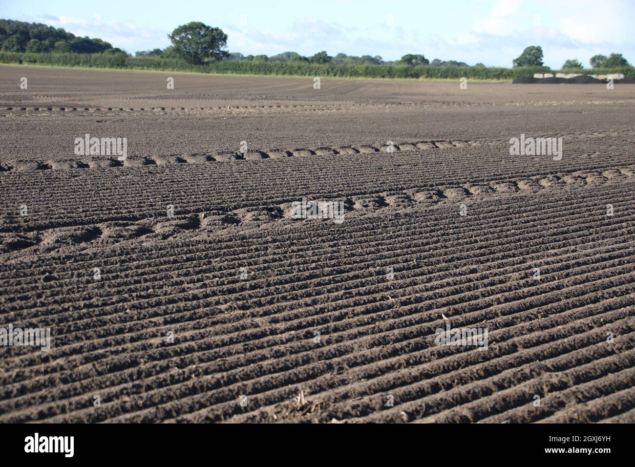 Ploughing marks hires stock photography and images Alamy