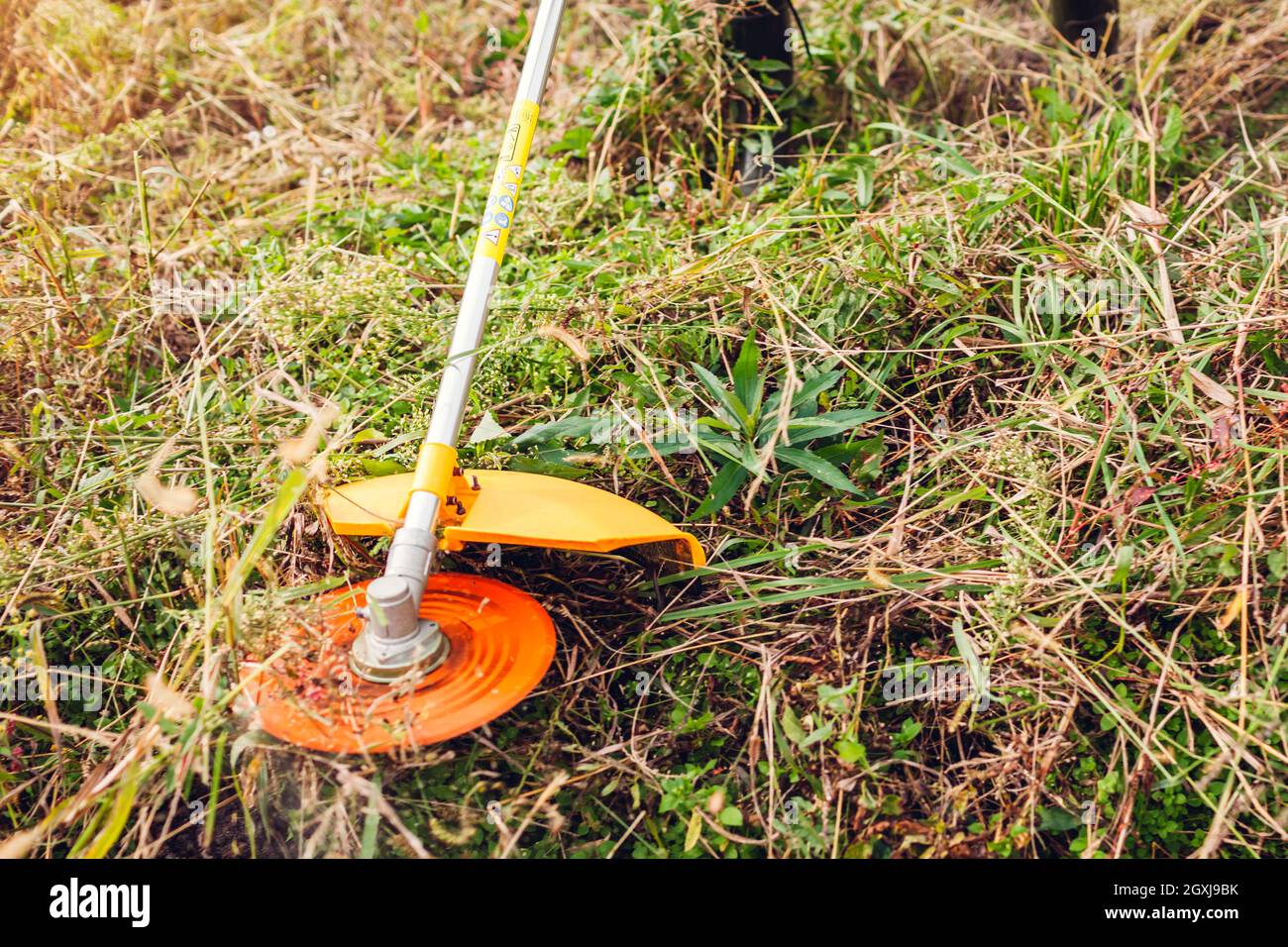 Gardener mowing weeds with brush cutter. Worker trimming dry grass with manual gasoline trimmer with metal blade disk. Close up Stock Photo