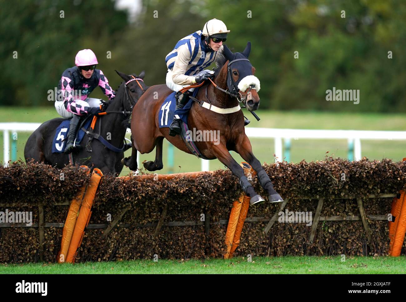 Soul icon horse hi-res stock photography and images - Alamy