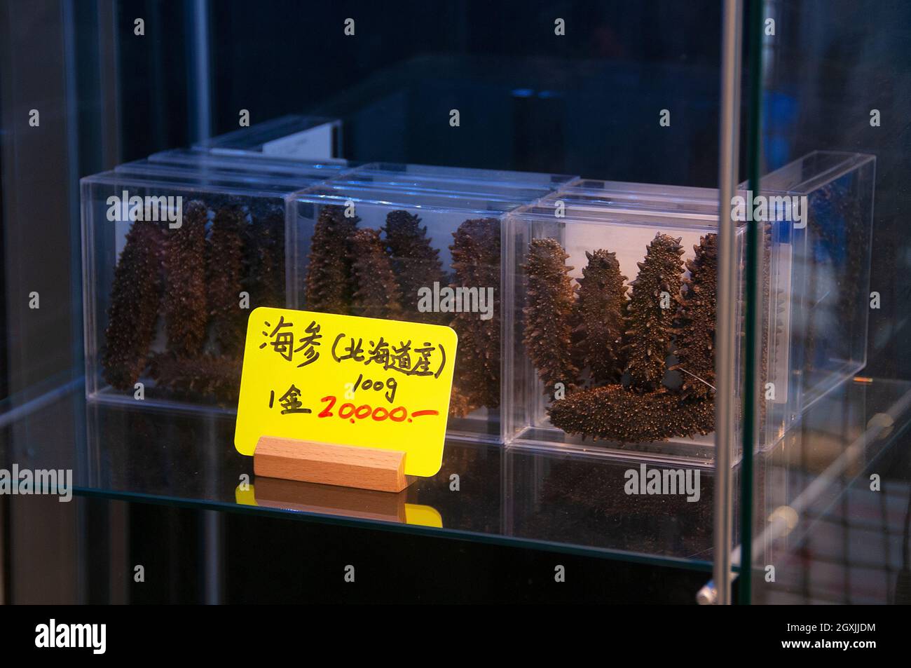Fresh sea cucumber for sale at the old Tsukiji Fish Market, Tokyo