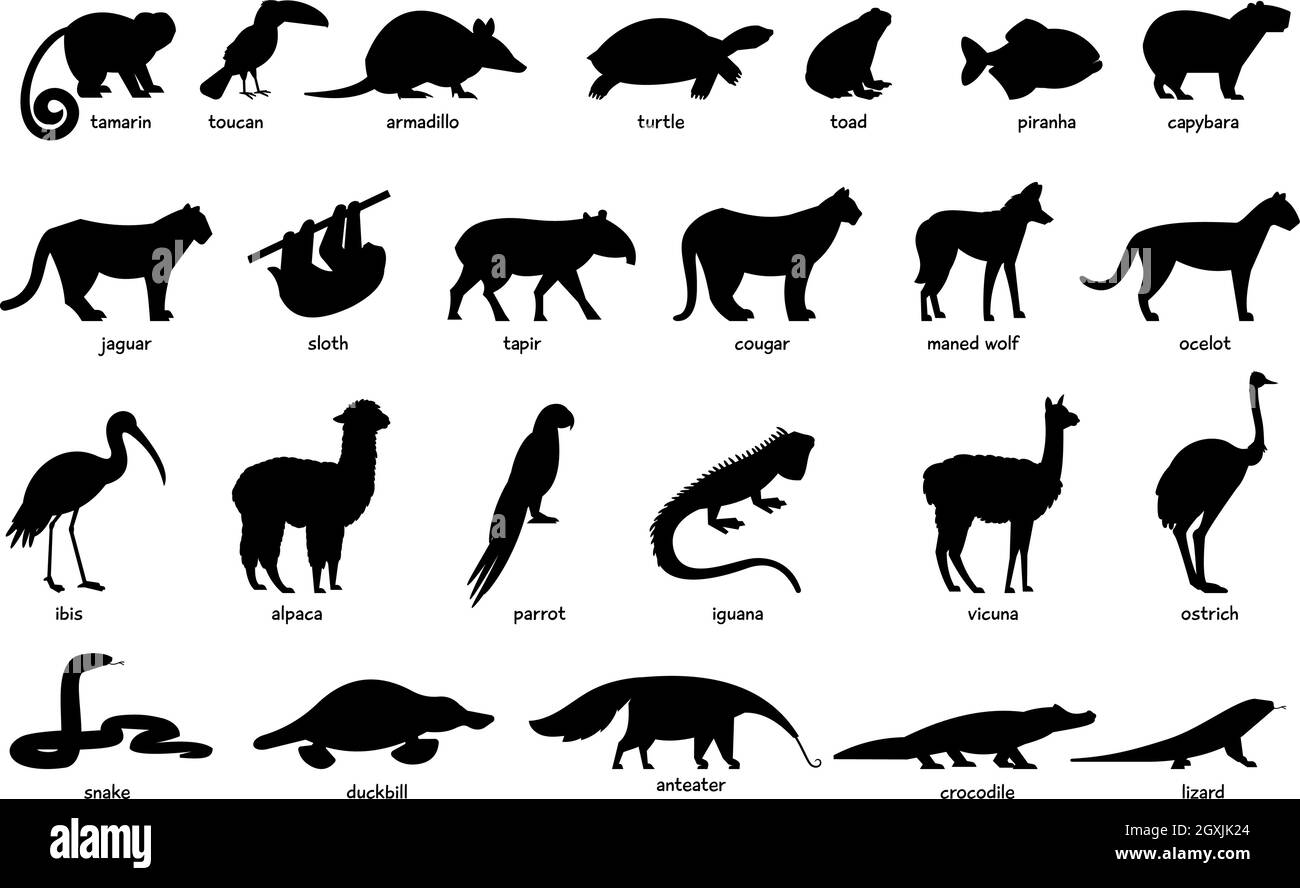 Large set of South America animals silhouettes Stock Vector