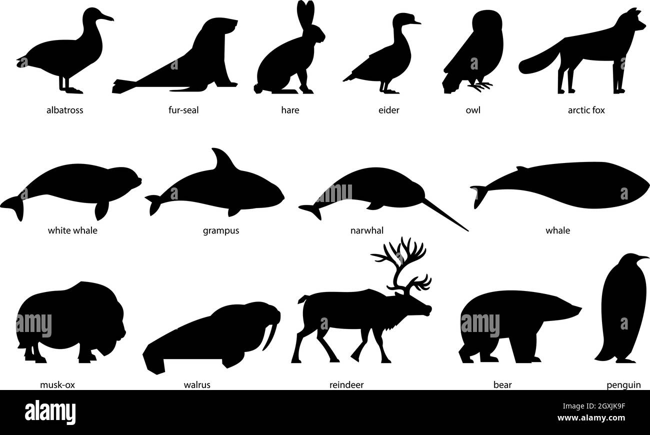 Collection of silhouettes of Arctic Animals Stock Vector