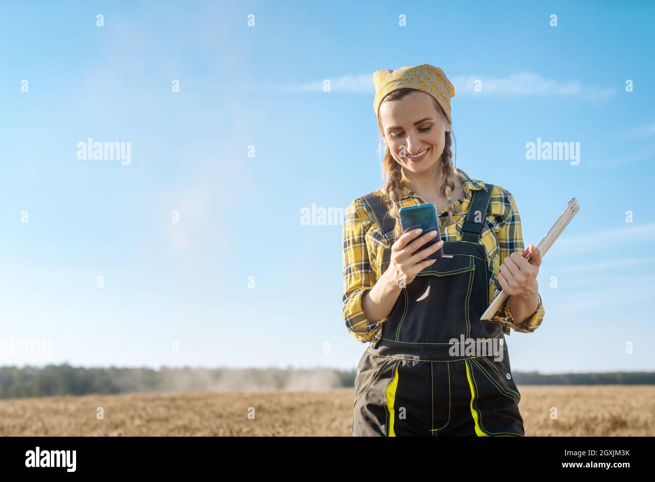 Farmer using her phone on a grain field during harvest Stock Photo