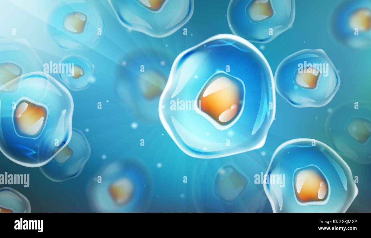 Cells under a microscope. Research of stem cells. Cellular Therapy. Cell division. Vector illustration on a light background Stock Vector