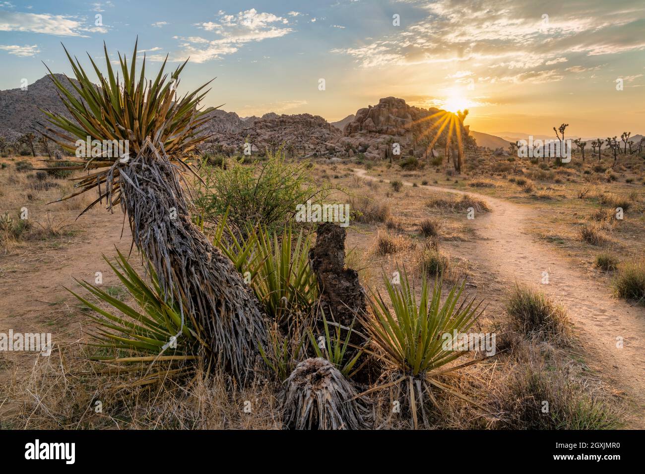 Joshua Tree National Park Stock Photo