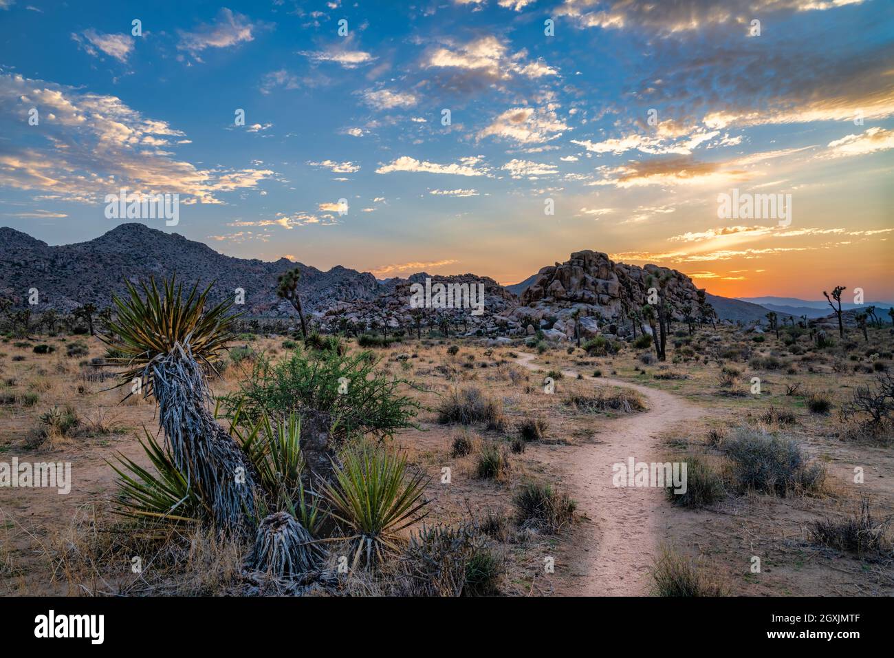 Joshua Tree National Park Stock Photo
