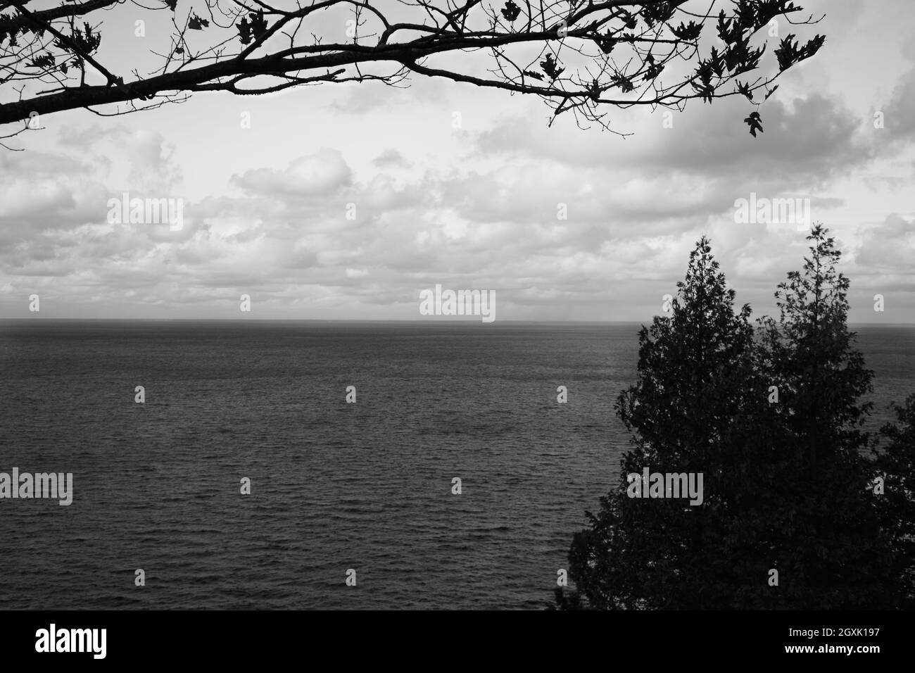 All nature photos Black and White Stock Photos & Images - Alamy