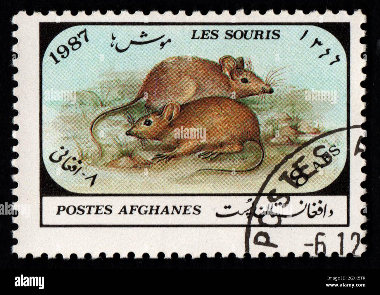 Afghanistan - CIRCA 1987: Rats depicted on postage stamp. Brown field rats on stamps of Afghanistan. Stamp for mail isolated on black. Domestic rodent Stock Photo