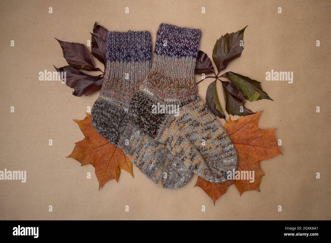 Concept - autumn is the time to warm up and do needlework.Hand-knitted socks in autumn colors and autumn foliage lie on a sheet of craft paper. Stock Photo