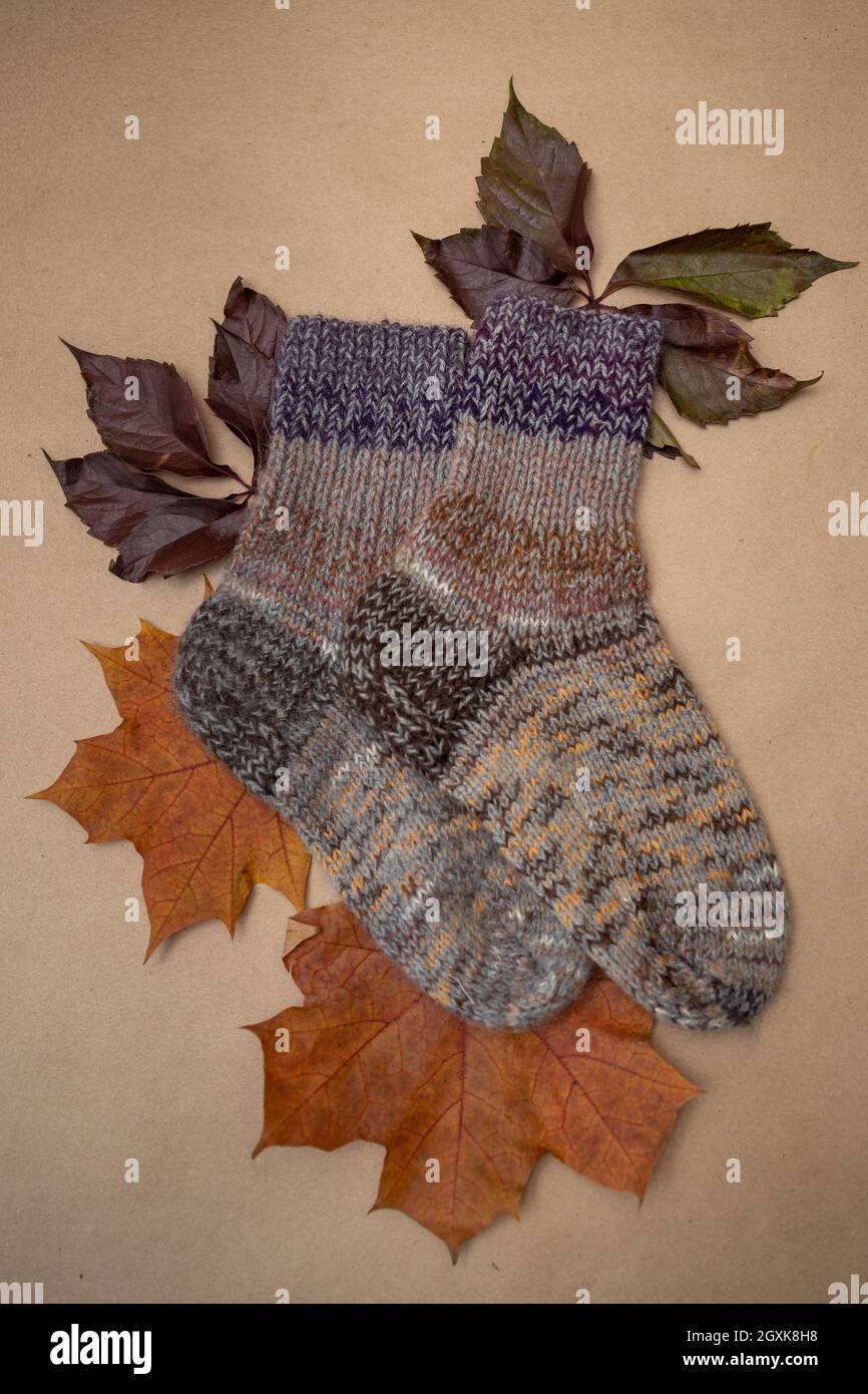 Concept - autumn is the time to warm up and do needlework.Hand-knitted socks in autumn colors and autumn foliage lie on a sheet of craft paper. Stock Photo