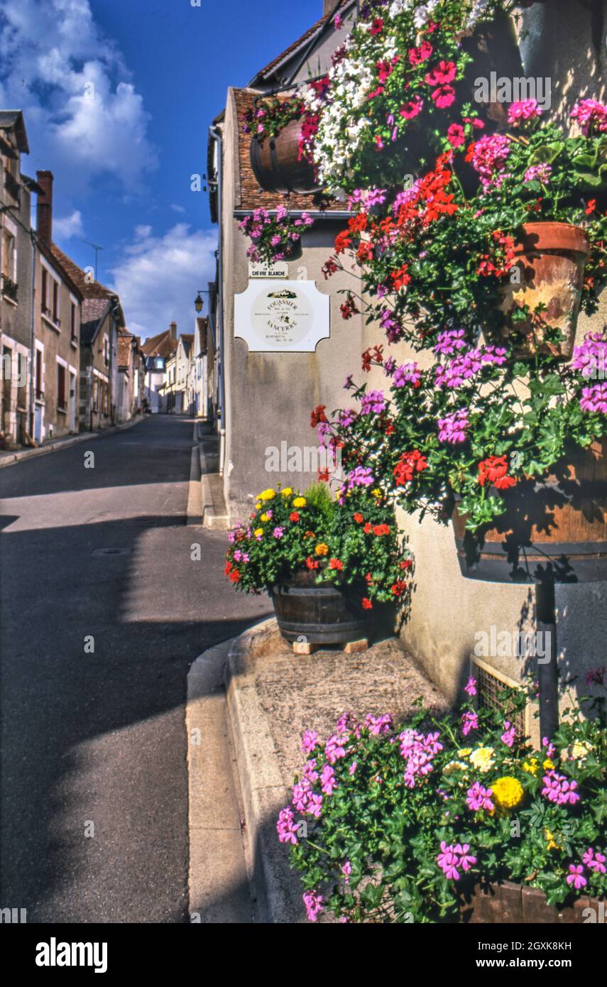 SANCERRE Rue de la CHEVRE BLANCHE Winery Fouassier sign with attractive flowers in wine barrels attraction outside winery France Stock Photo