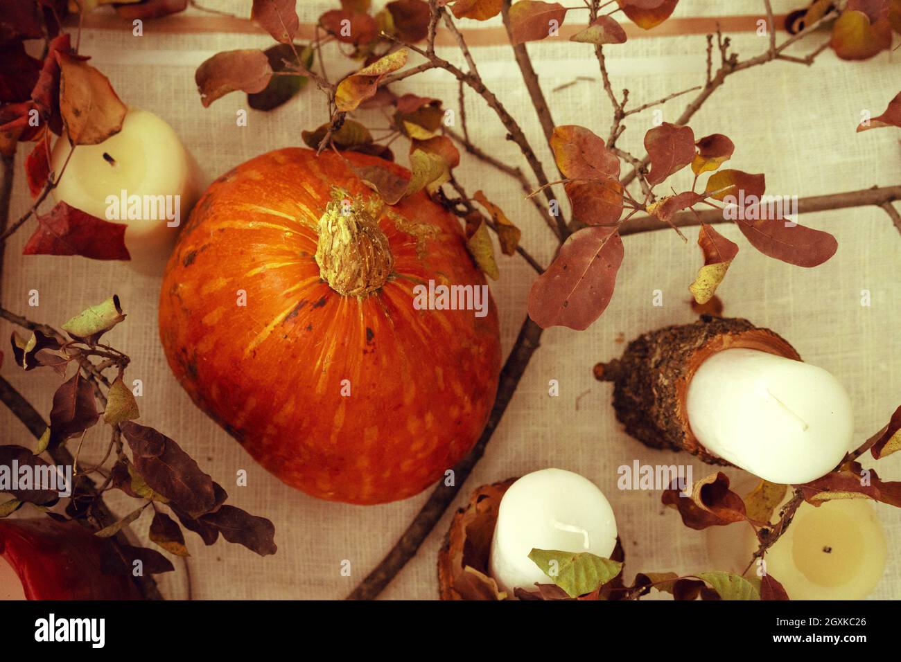 Stylish thanksgiving autumn table decor with pumpkin and dried branches Stock Photo