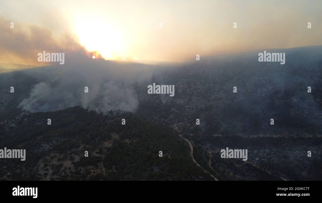 Smoke of a forest fire obscures the sun Stock Photo - Alamy