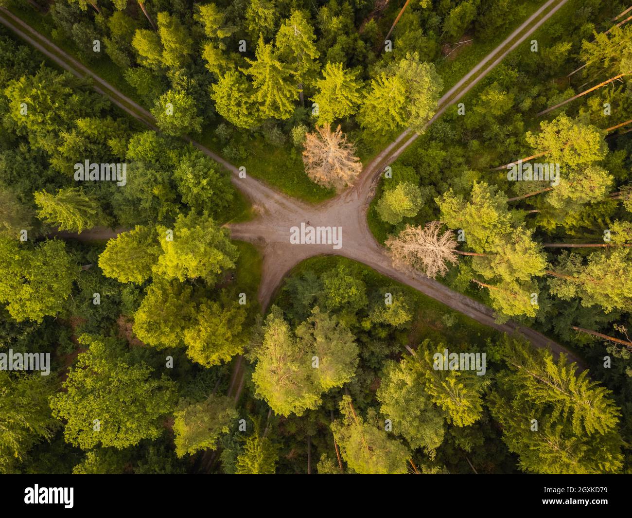 Aerial top view of street crossing in the forest Stock Photo