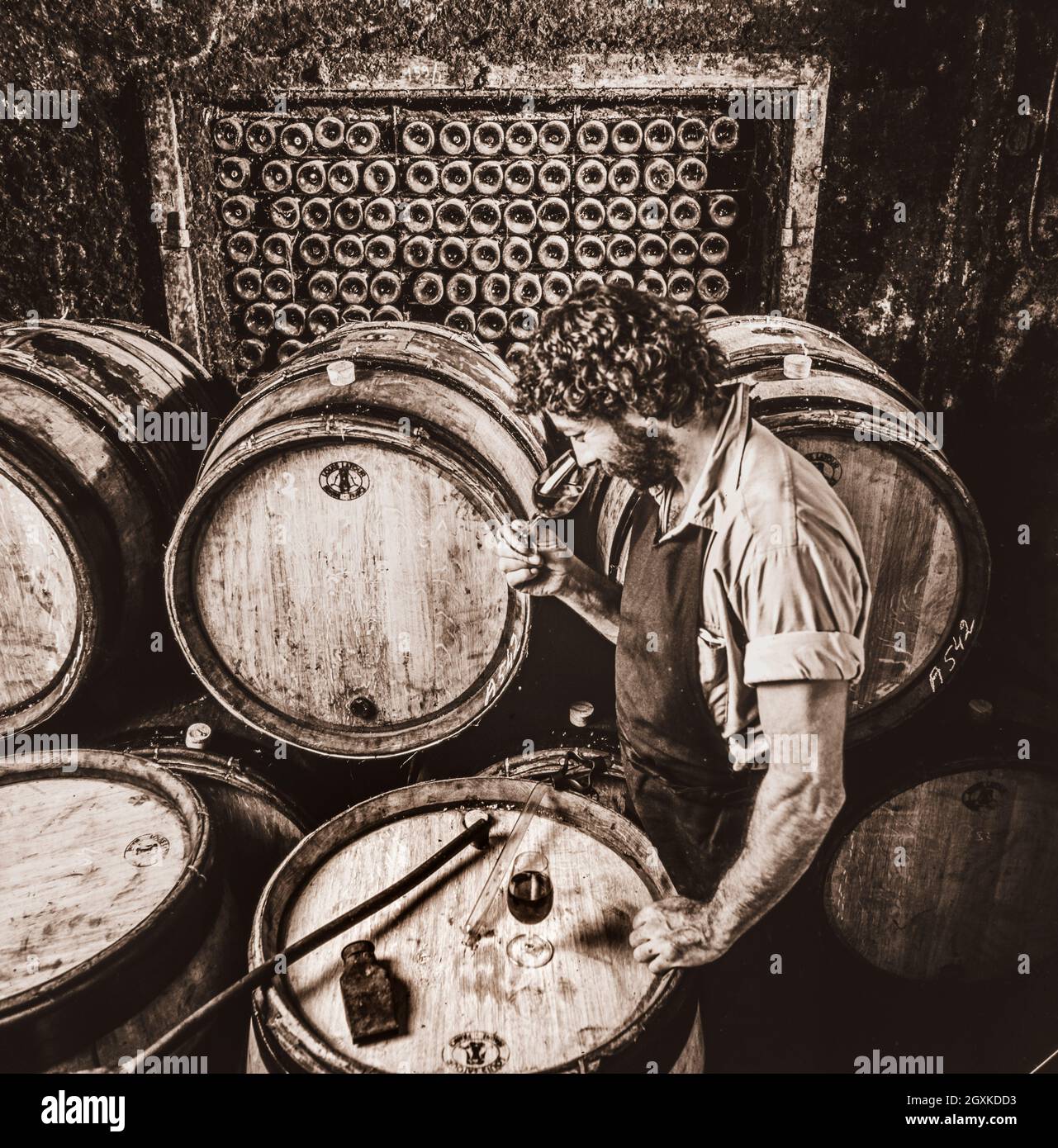 Cellars of louis latour chateau de grancey hires stock photography and