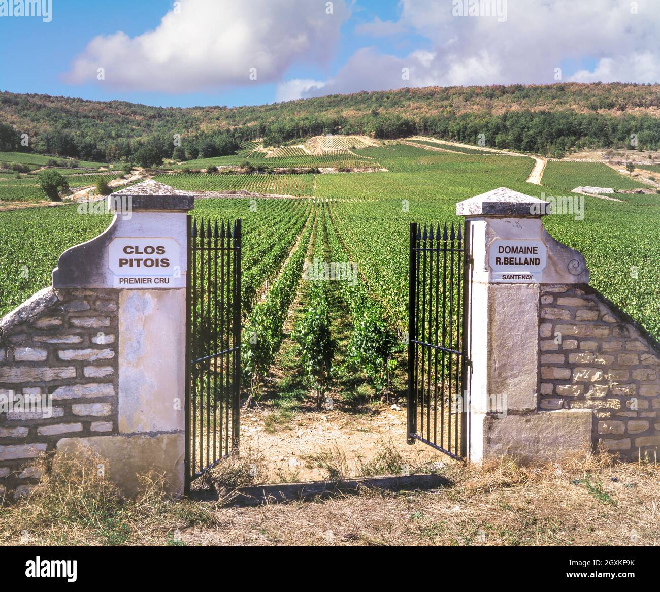 Clos Pitois Santenay premier cru vineyard open gates entrance to vineyards of Domaine Roger Belland Santenay, Burgundy Bourgogne Cote de Beaune France Stock Photo