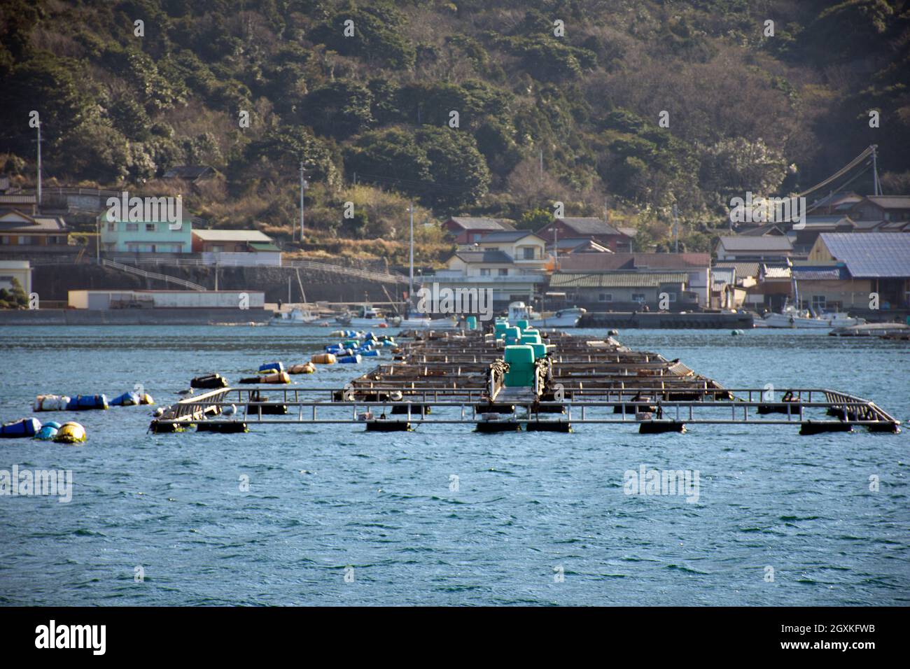 Oyster rafts, Ainan, Japan Stock Photo