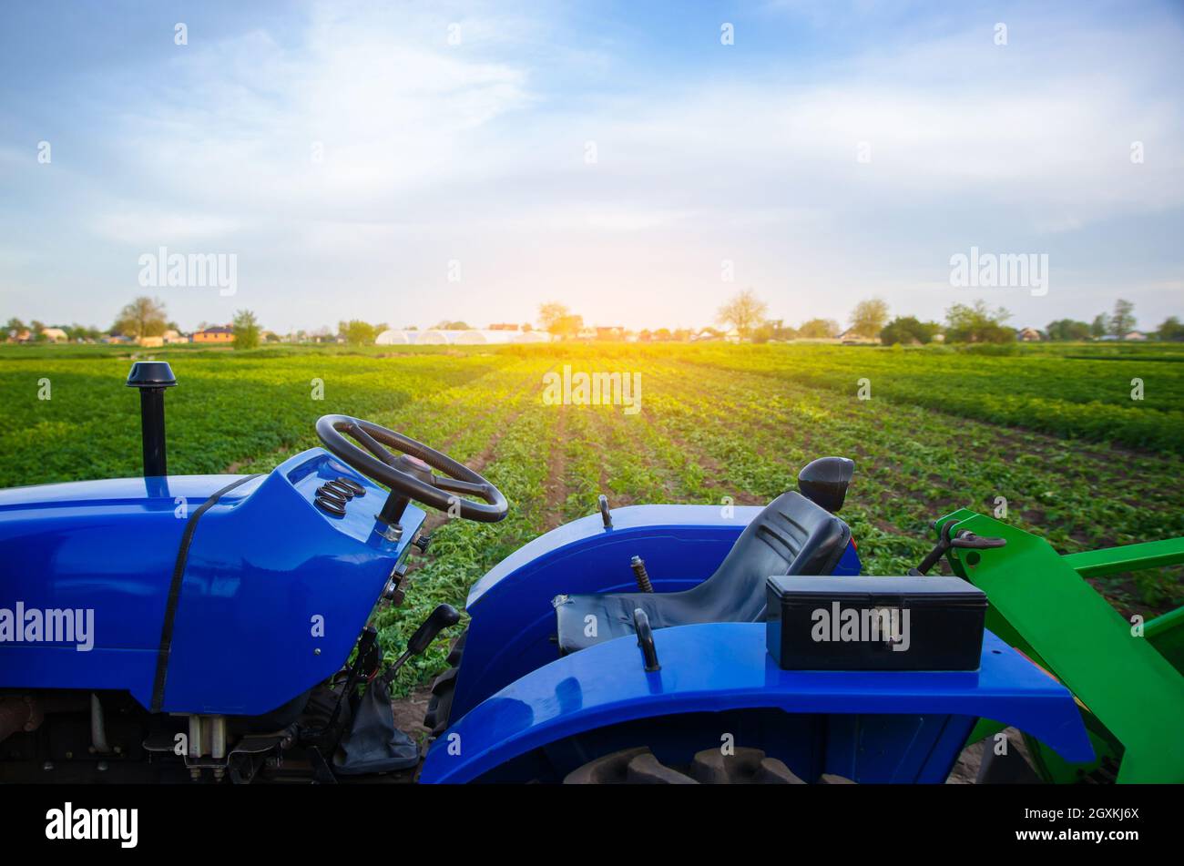 Blue tractor on farm field. Agricultural machinery and technology. Farming and vegetable growing. Modernization. Subsidies and tax refunds for purchas Stock Photo