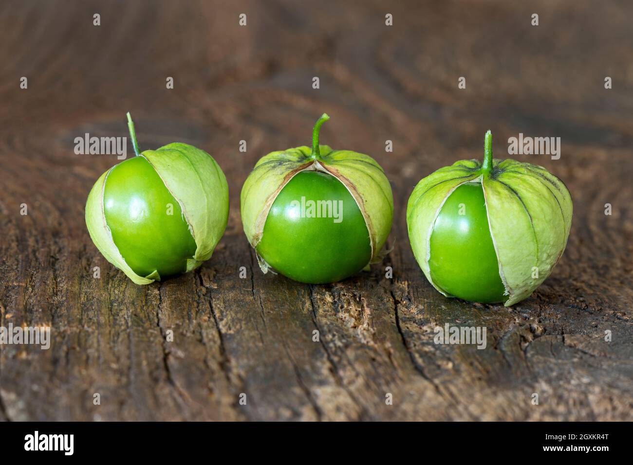 Tomatillo skin hi-res stock photography and images - Alamy