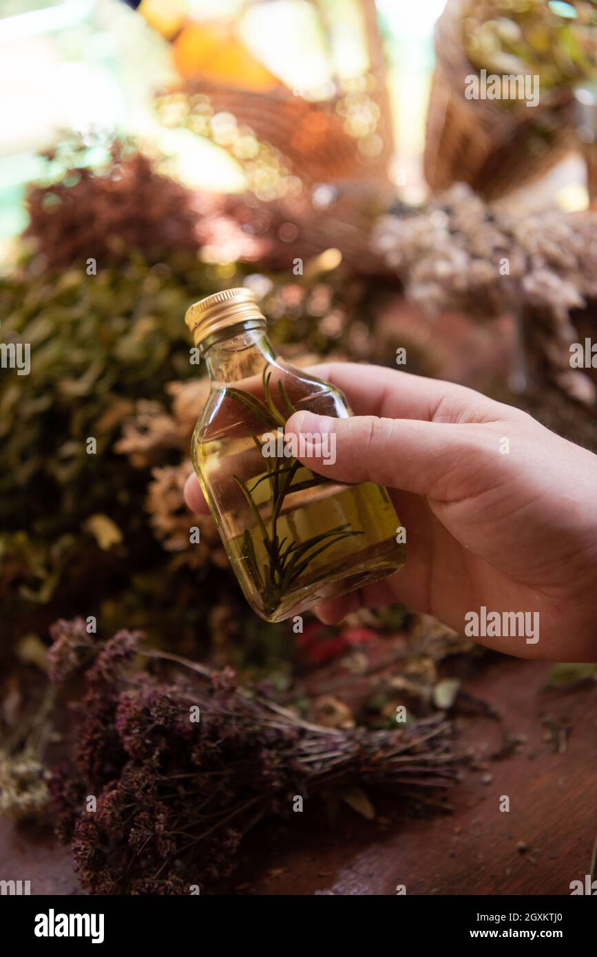 tincture or potion bottle in hand of herbalist  bunch of dry healthy herbs in background alternative medicine Stock Photo