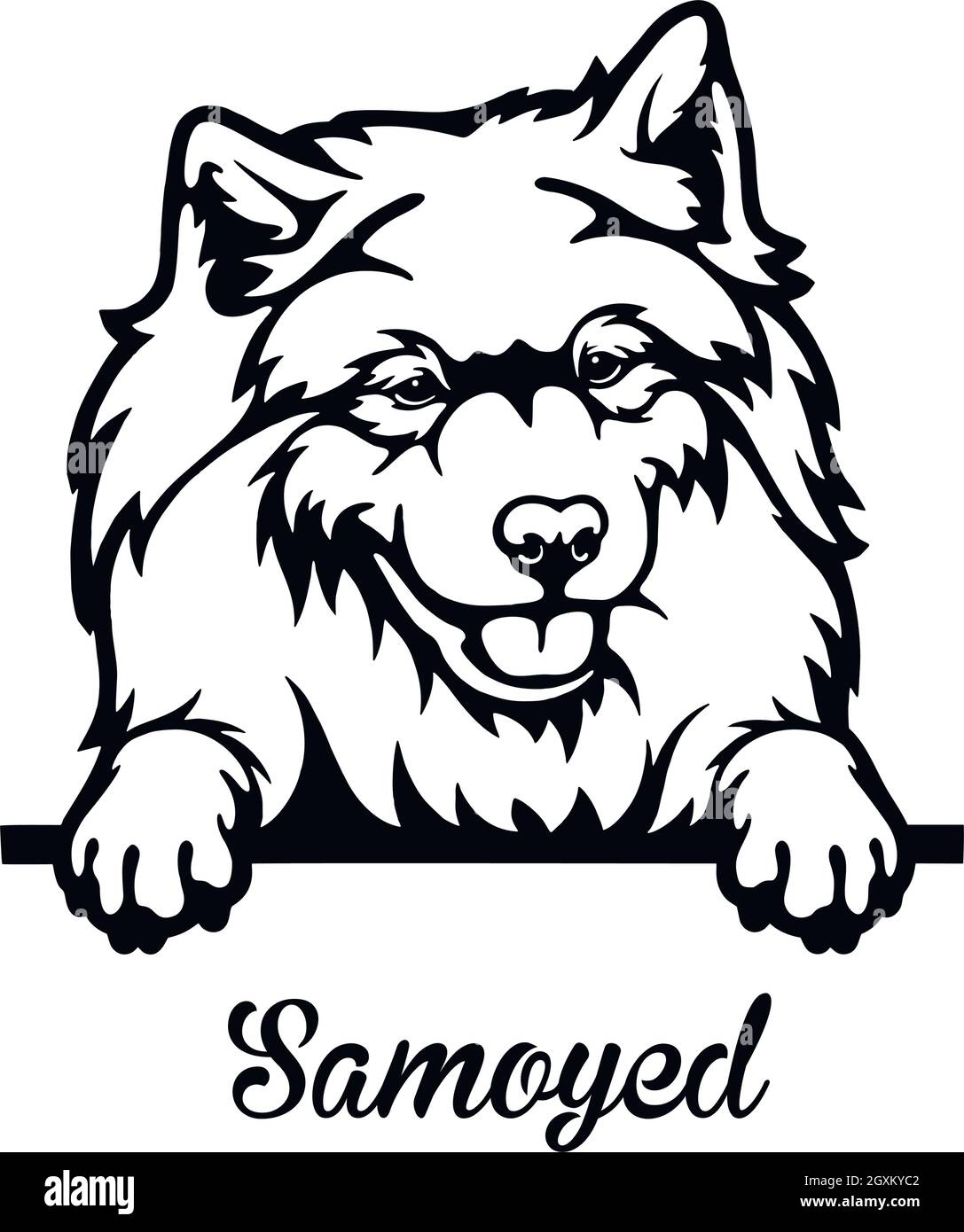 Husky samoyed Black and White Stock Photos & Images - Alamy