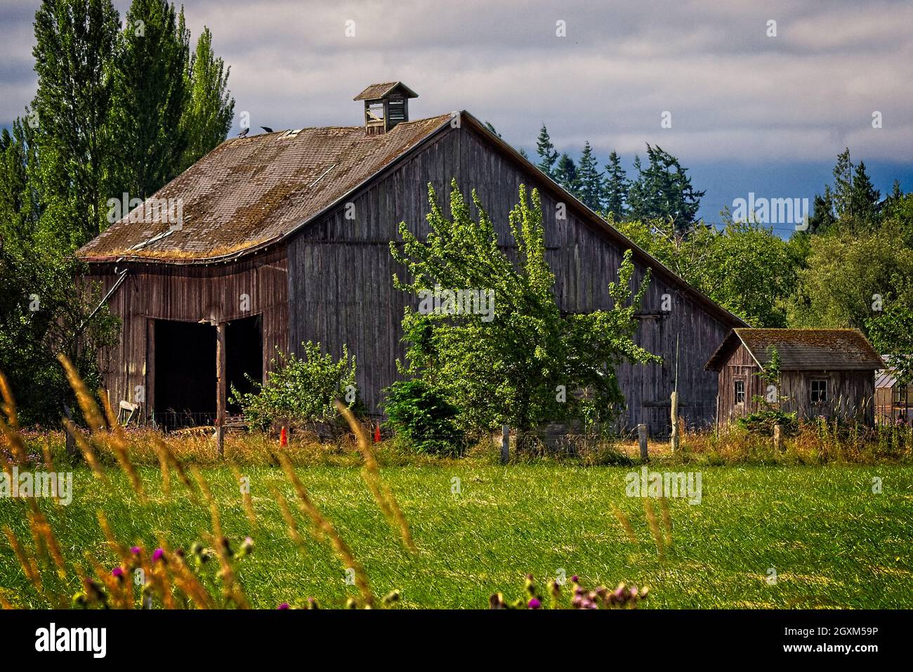 Old Sequim Barn - An old barn with a steeple in Sequim Stock Photo