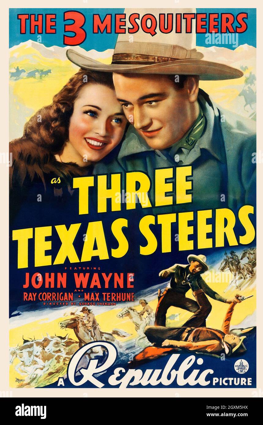 Three Texas Steers Stock Photo
