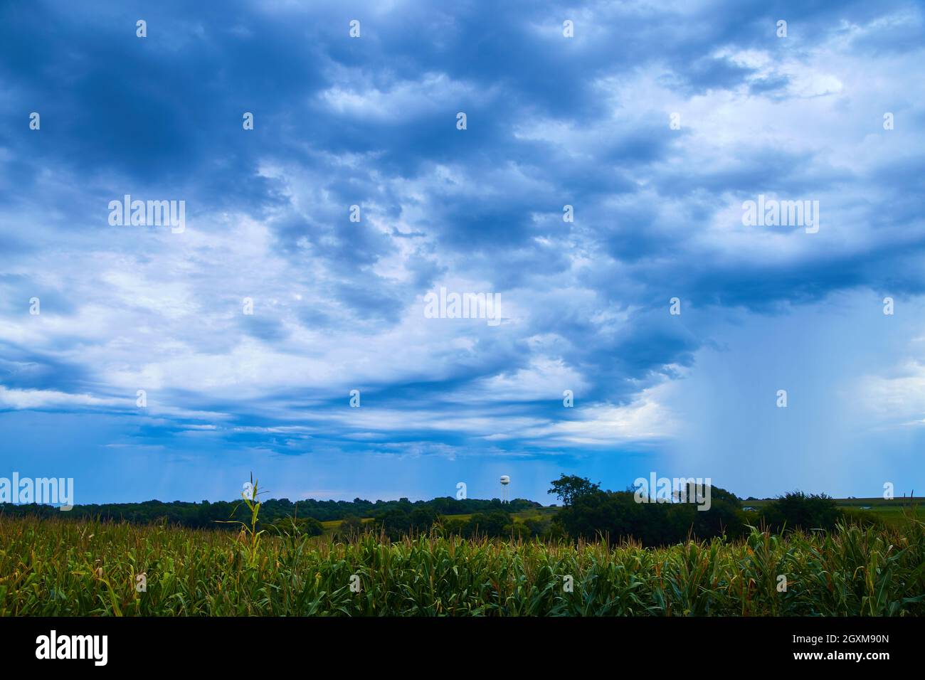 Water tower in stormy clouds with corn fields Stock Photo