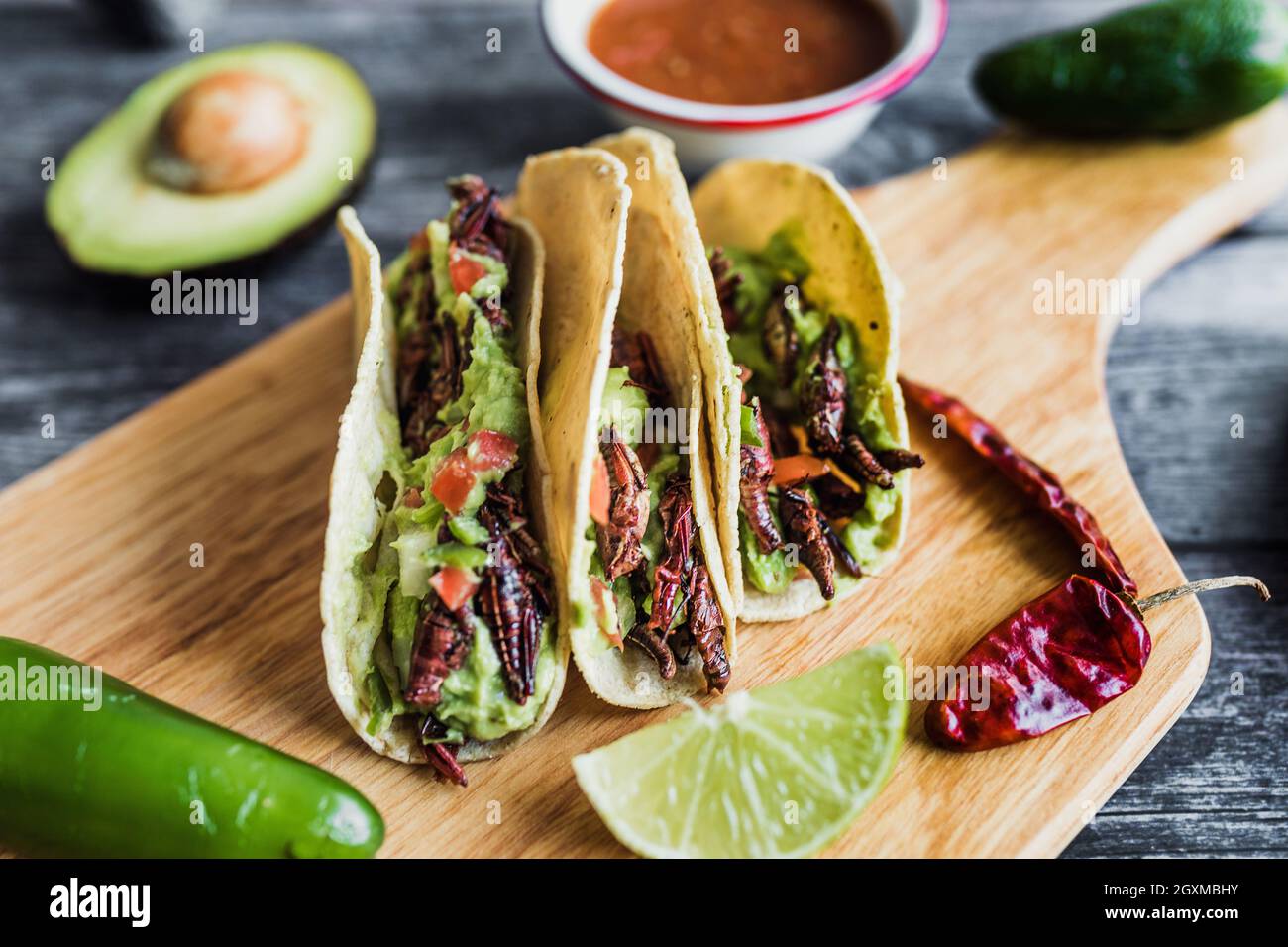tacos de chapulines or taco traditional in mexican food