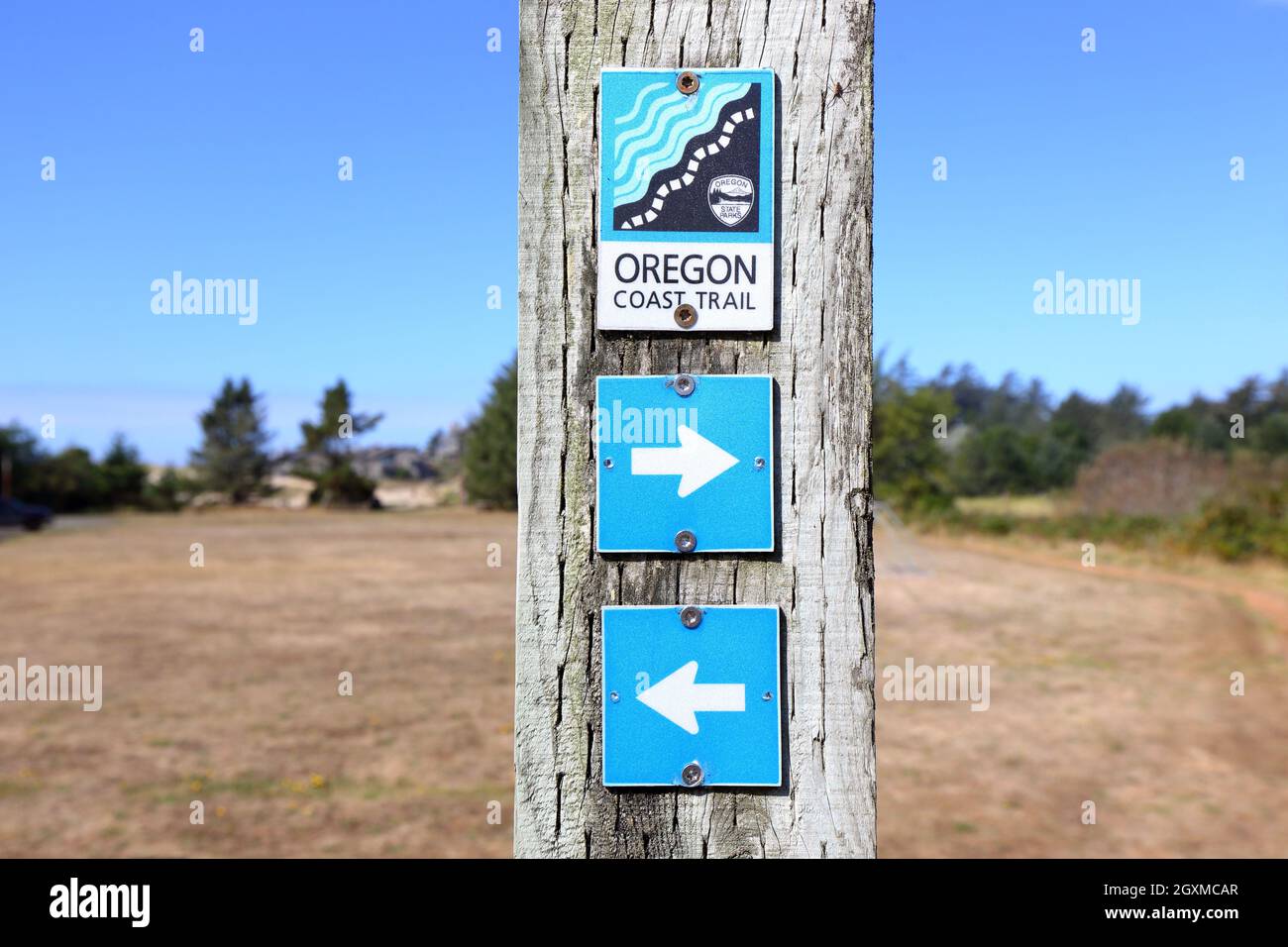 Oregon Coast Trail signage and direction arrows on a wooden pole. Stock Photo