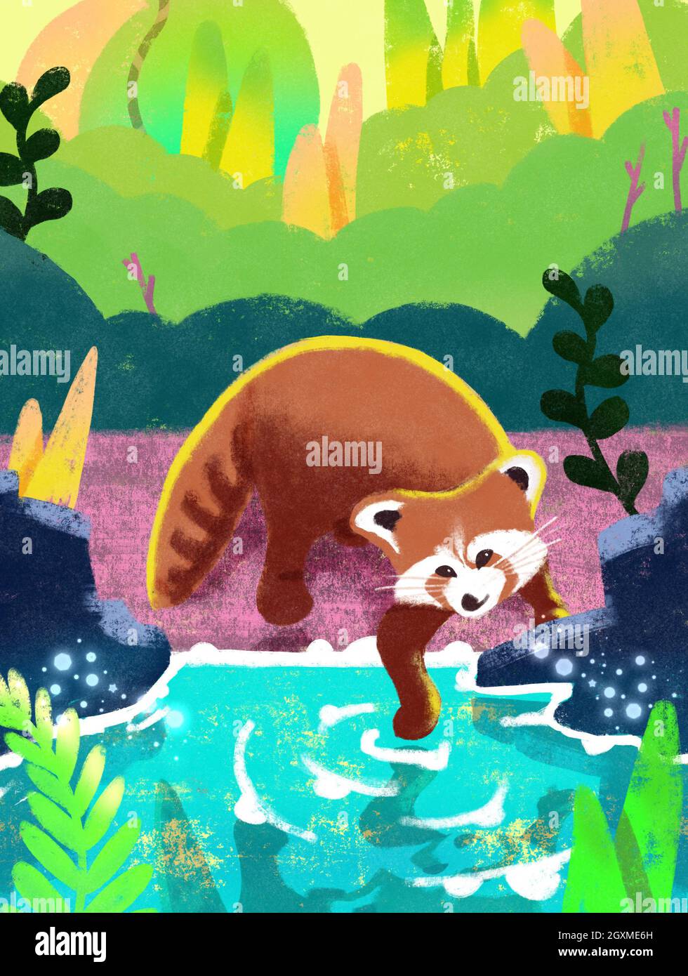 Red panda in jungle child illustration. Animal look at lake mirror touches the water with his paw. Fantasy art fairy landscape Stock Photo