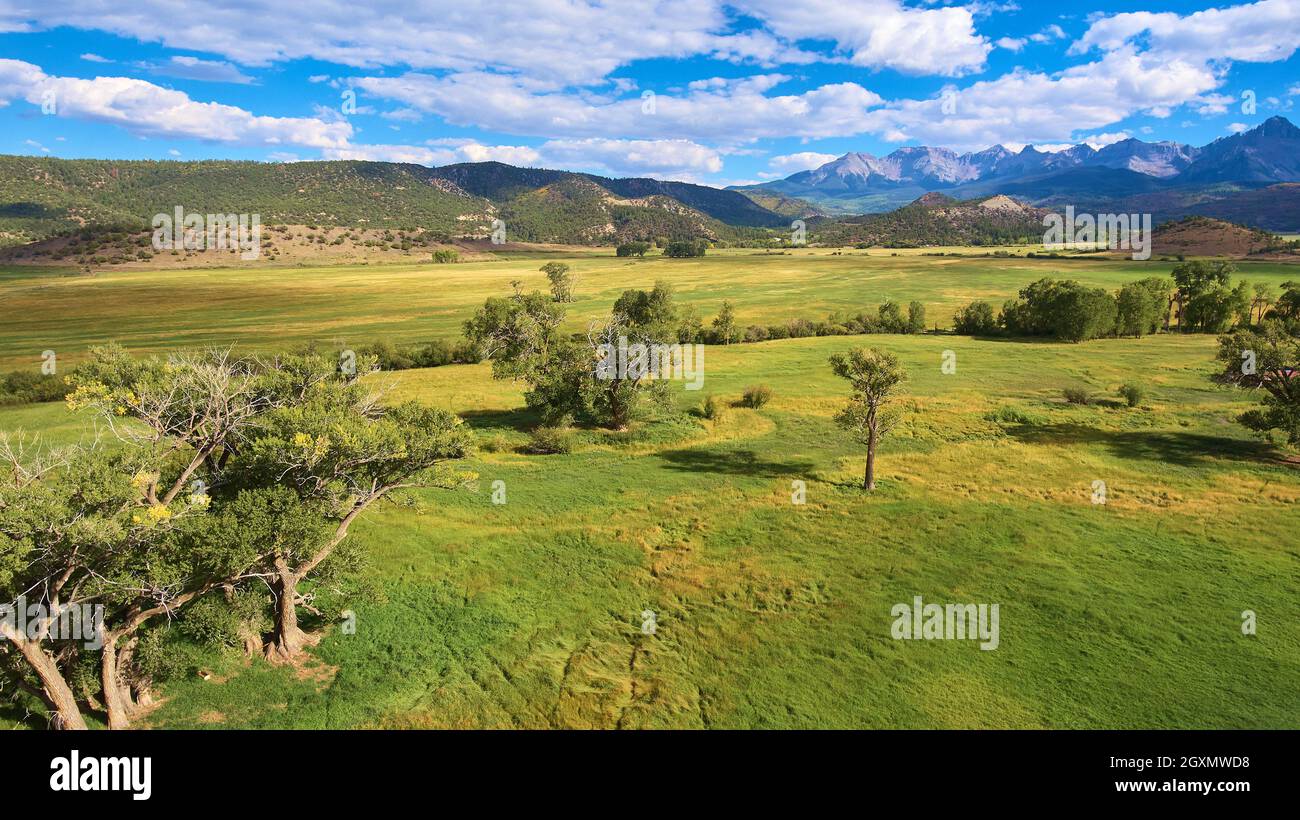 Isolated tree in large grass field and mountain range in background Stock Photo