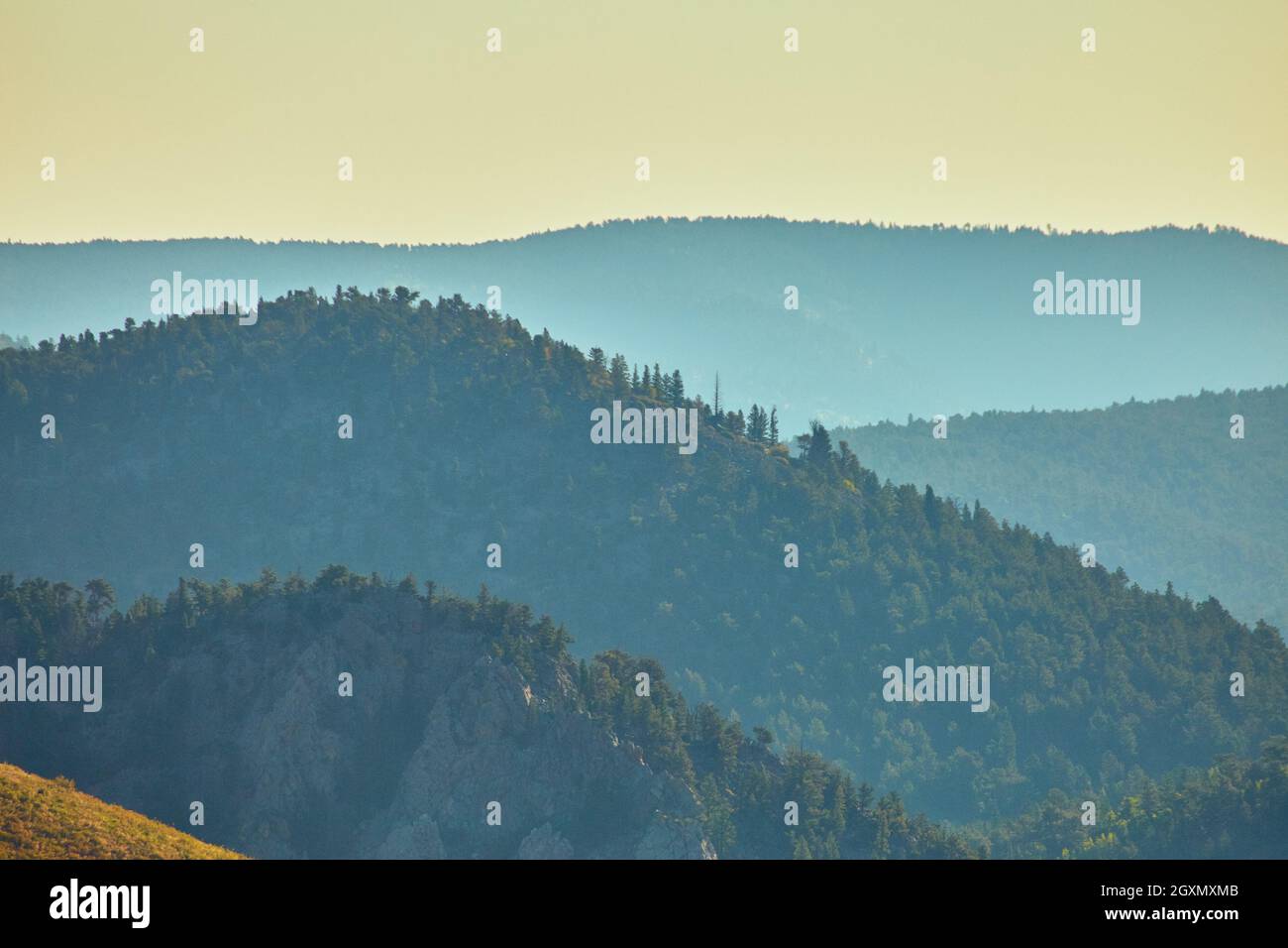 Foggy mountain landscape of pine trees Stock Photo - Alamy