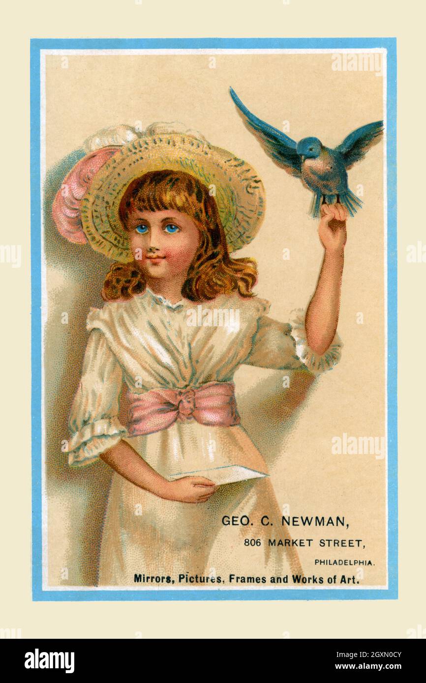 Geo C. Newman - Pet Bird Stock Photo