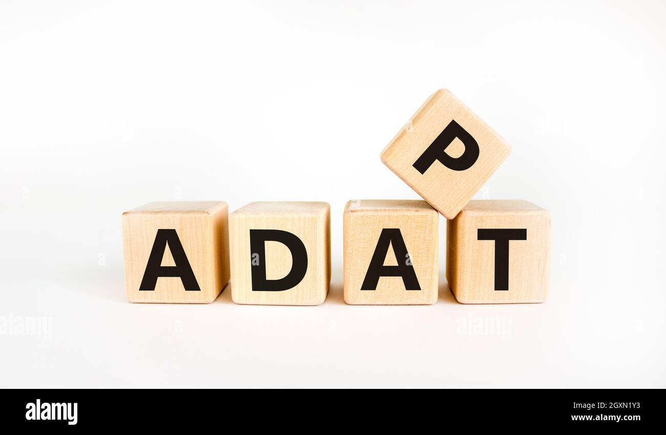 Adapt symbol. The concept word 'adapt' on wooden cubes. Beautiful white  table, white background. Business, adaptation and adapt concept. Copy space  Stock Photo - Alamy