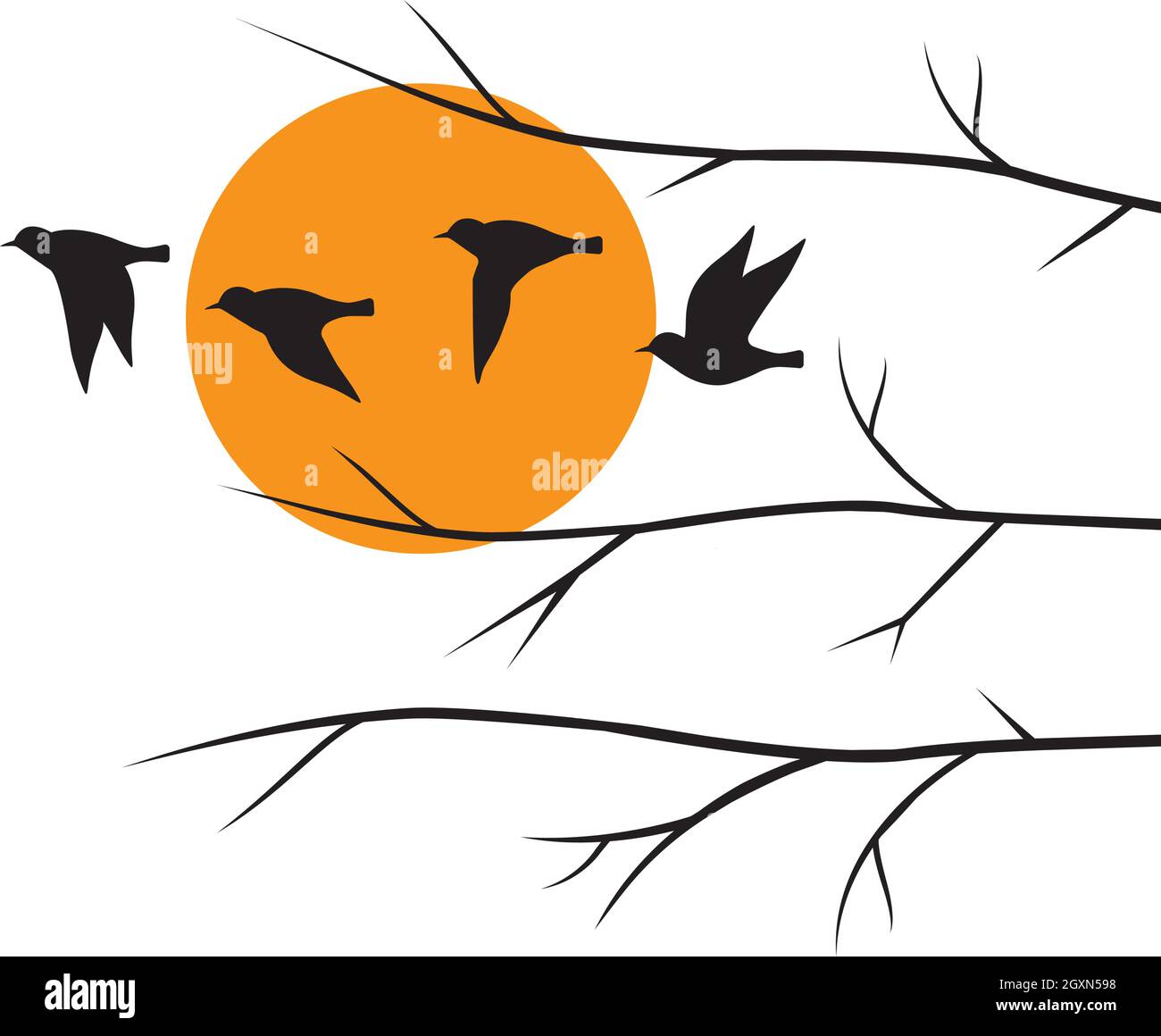 Flying birds silhouettes on sunset and branch illustration isolated on ...