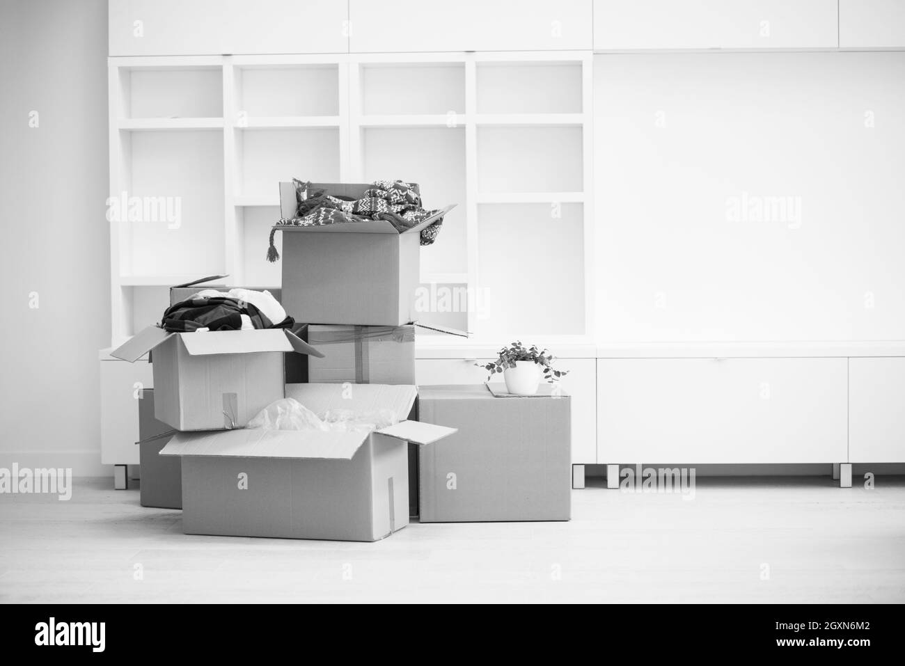Moving boxes in empty room Stock Photo Alamy