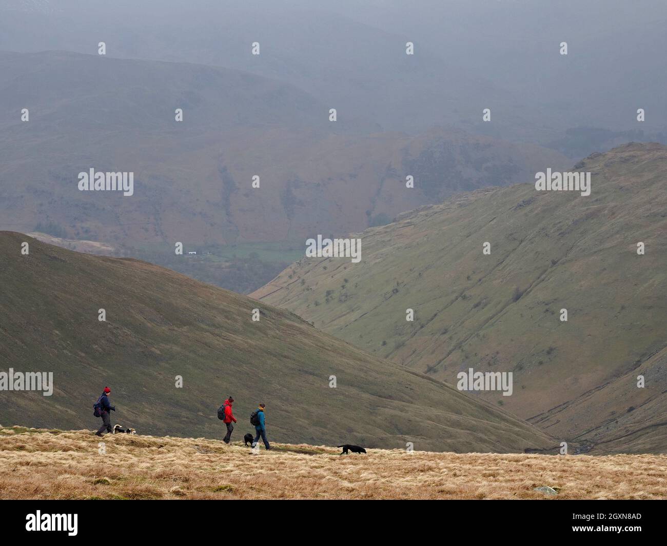Three anonymous distant walkers dwarfed by mountain landscape walking with dogs above steep-sided valleys in mist near High Street Cumbria,England, UK Stock Photo