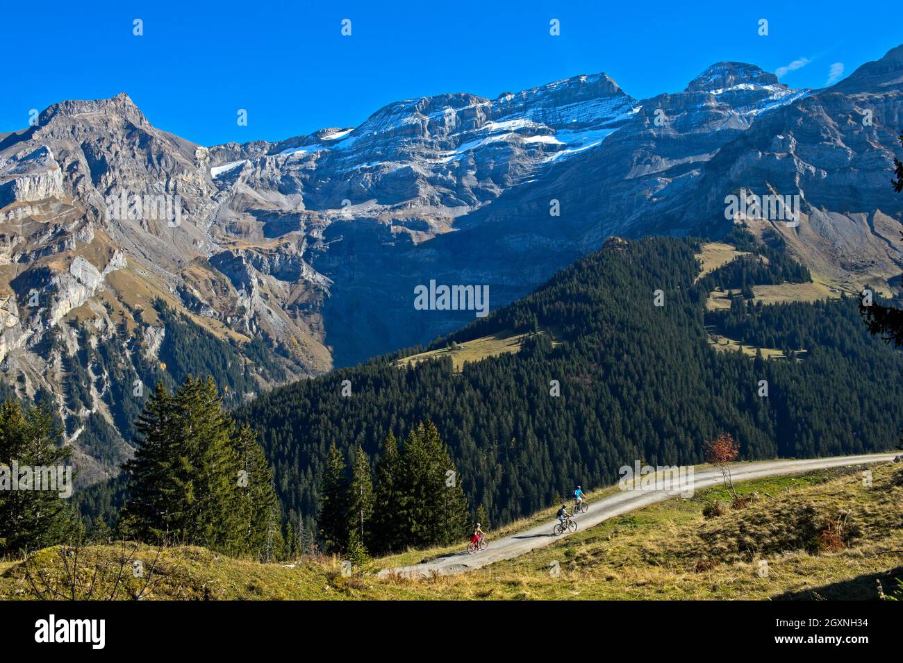 Cyclists in front of the mountain range Les Diablerets near the village Les Diablerets, Ormont-Dessus, Vaud Alps, Vaud, Switzerland Stock Photo