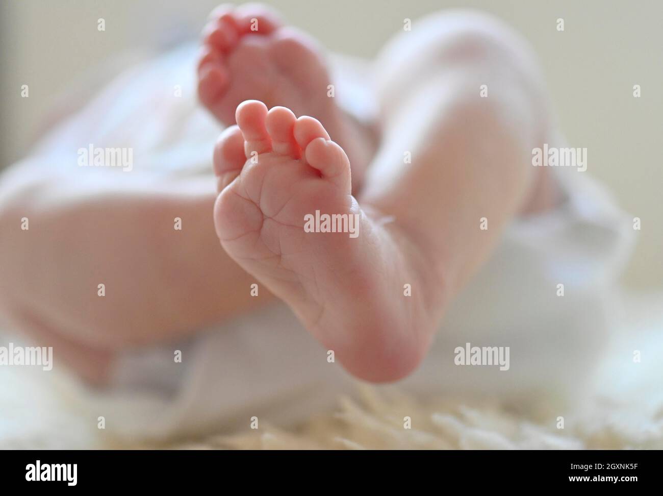 Baby feet, infant, girl, 10 days, Stuttgart, Baden-Wuerttemberg