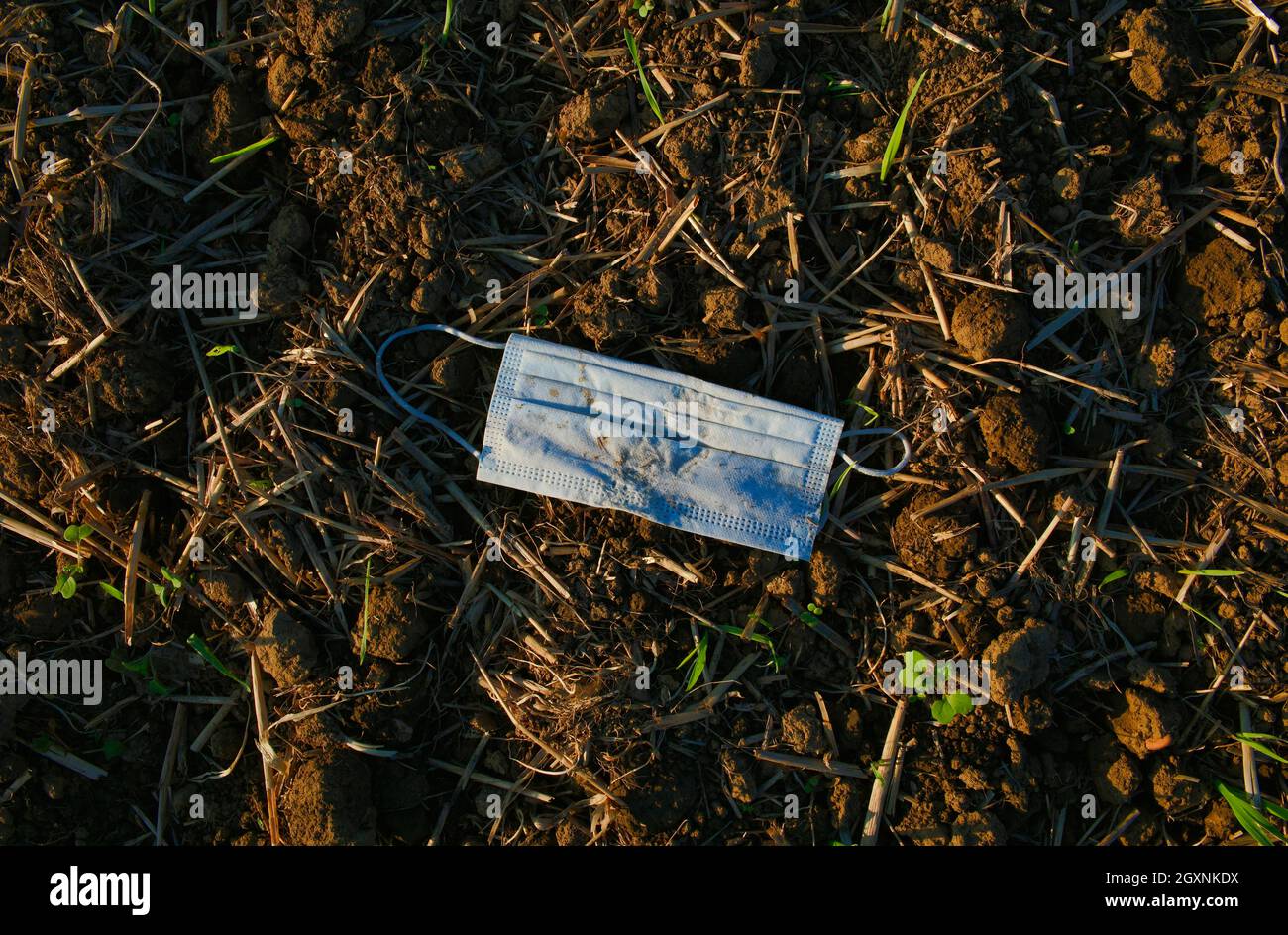 Discarded mouth mask lies on soil, loess soil, arable furrow, symbolic image Impact of the Corona pandemic on agricultural economy, Corona crisis Stock Photo
