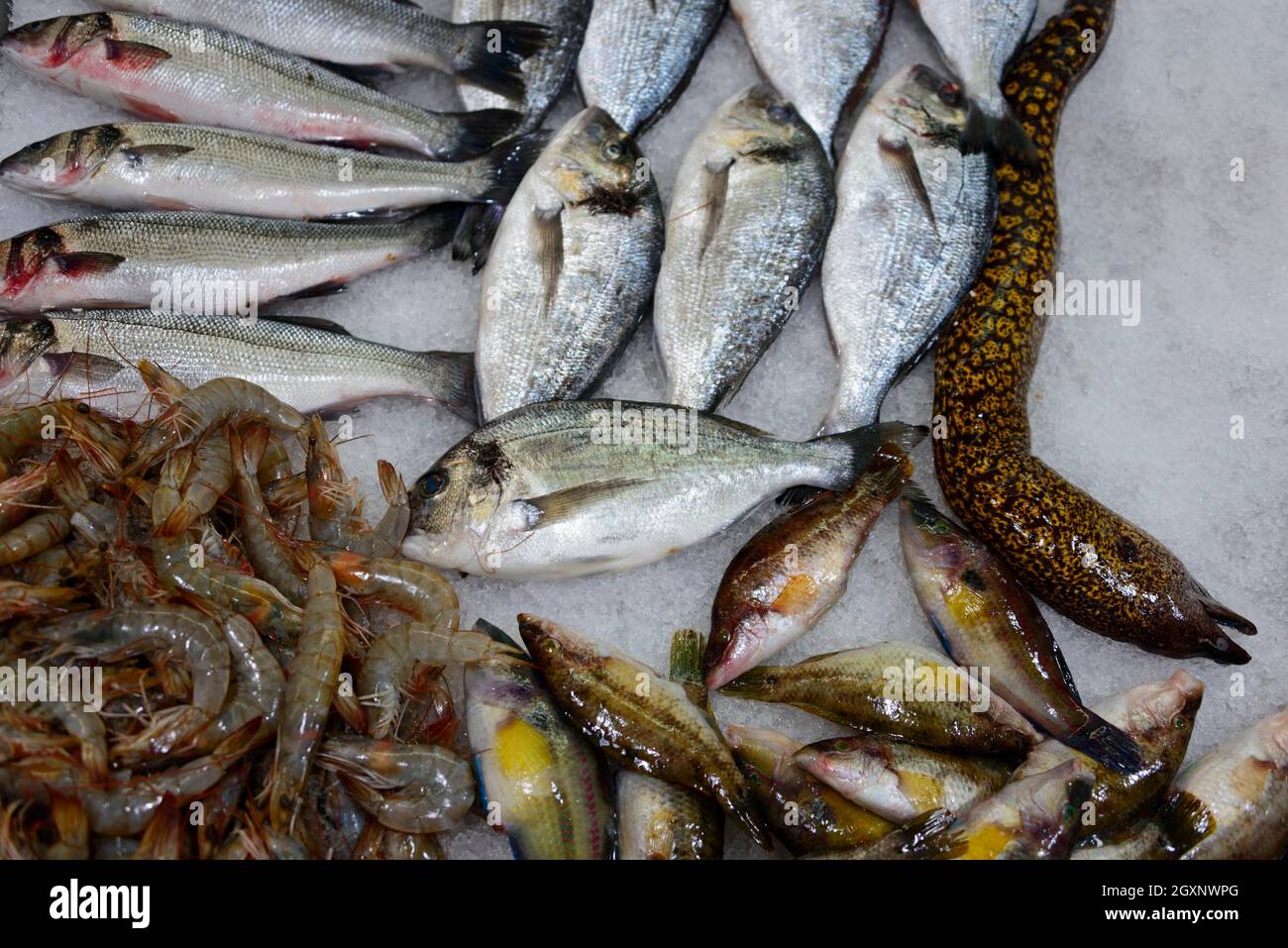 Fish, farmers' market, Zelena Pijaca, Ulcinj, Ulqini, Montenegro Stock Photo