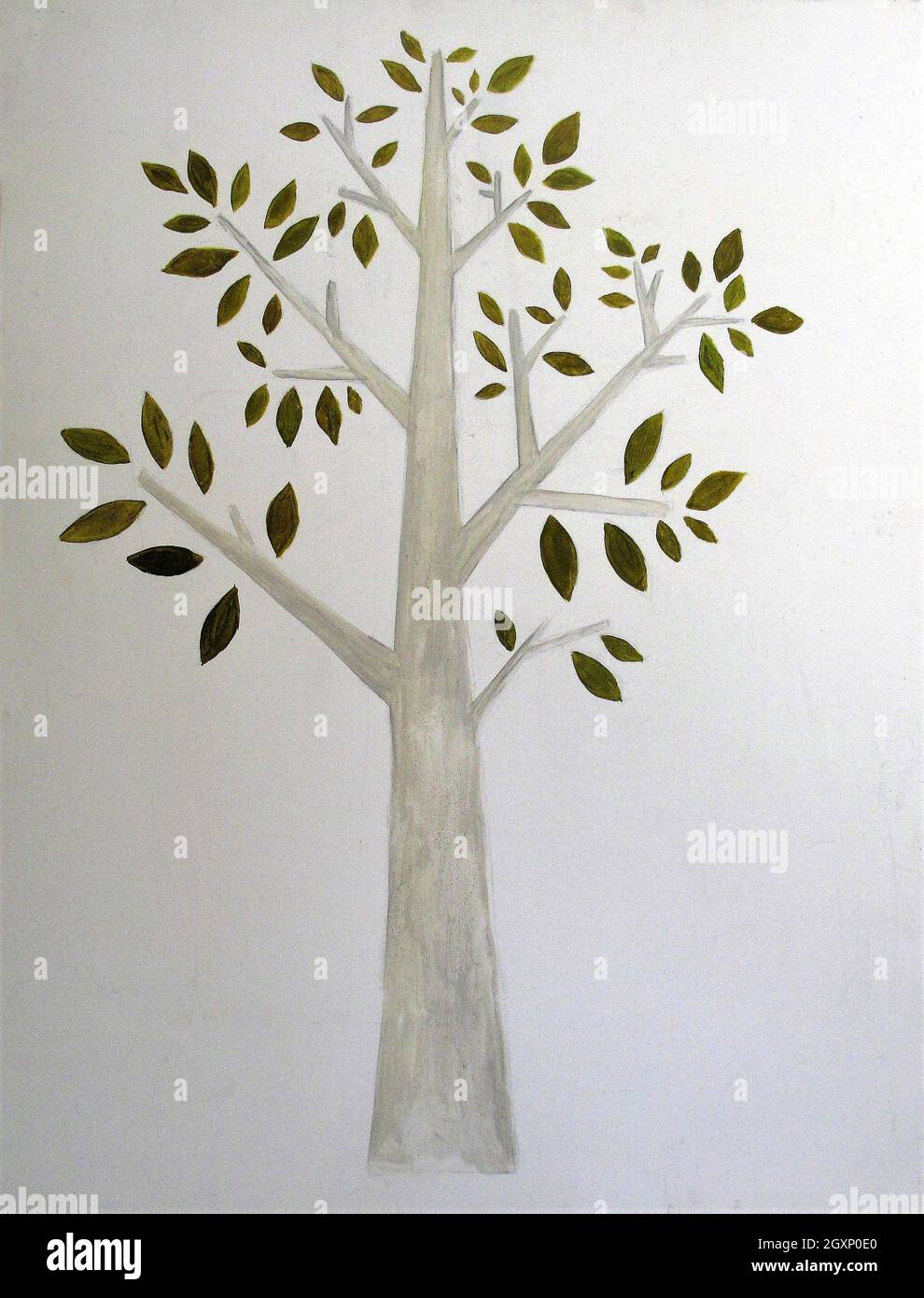 Tree of life.  Tree icon isolated on white background. Stock Photo