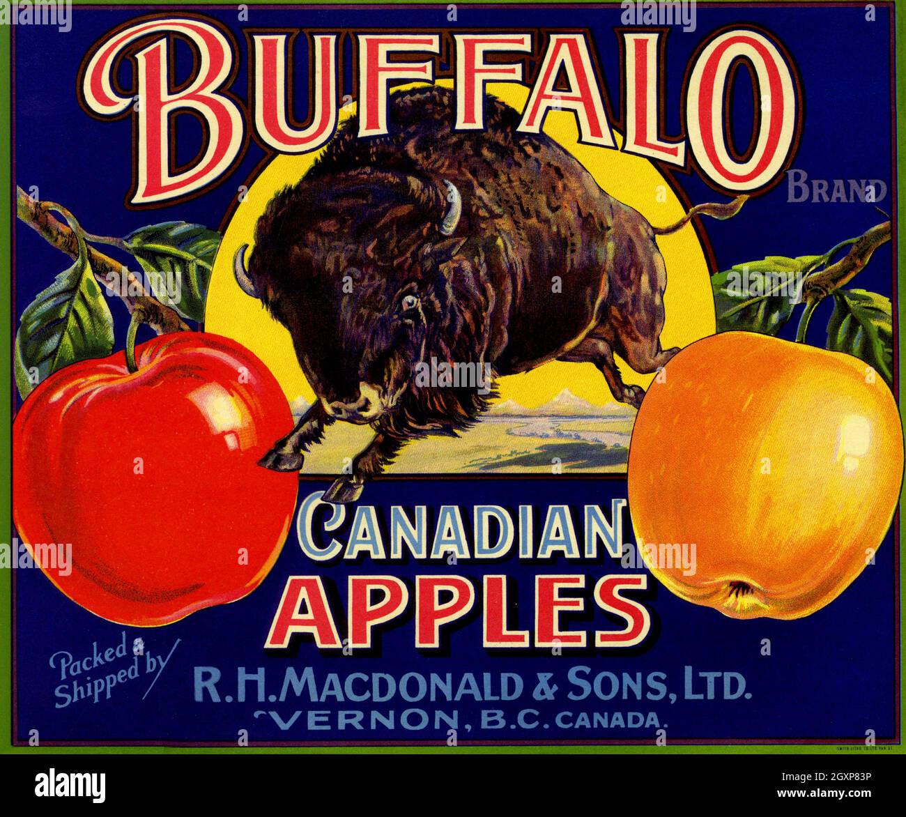 Buffalo Canadian Apples Stock Photo Alamy
