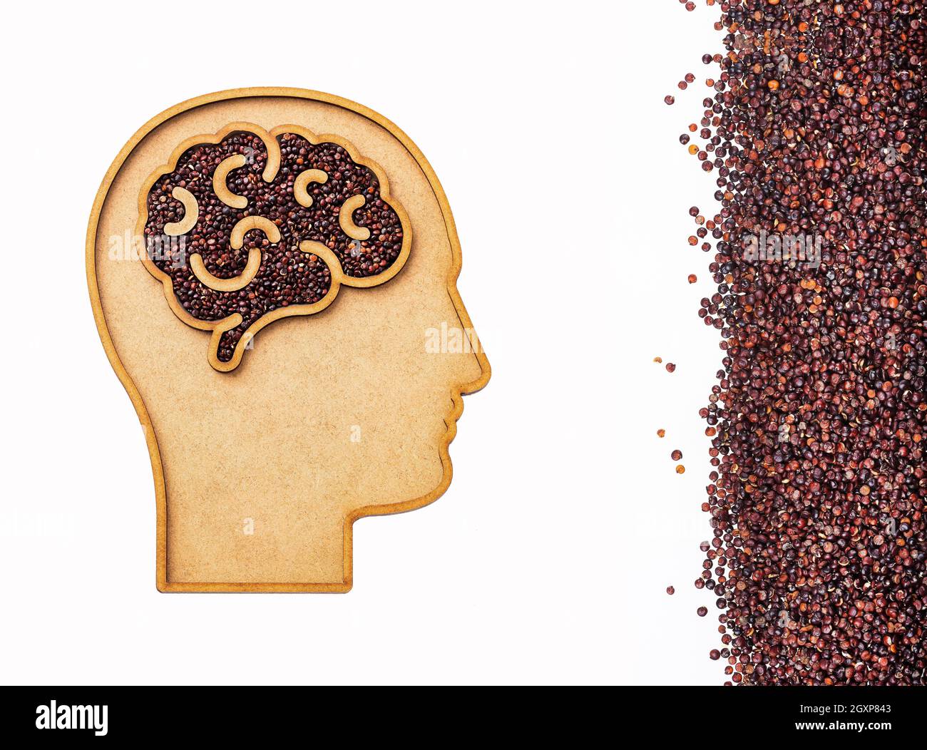 Chenopodium quinoa Black organic quinoa seeds in the brain shaped